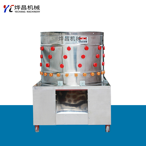 ����Óë�C